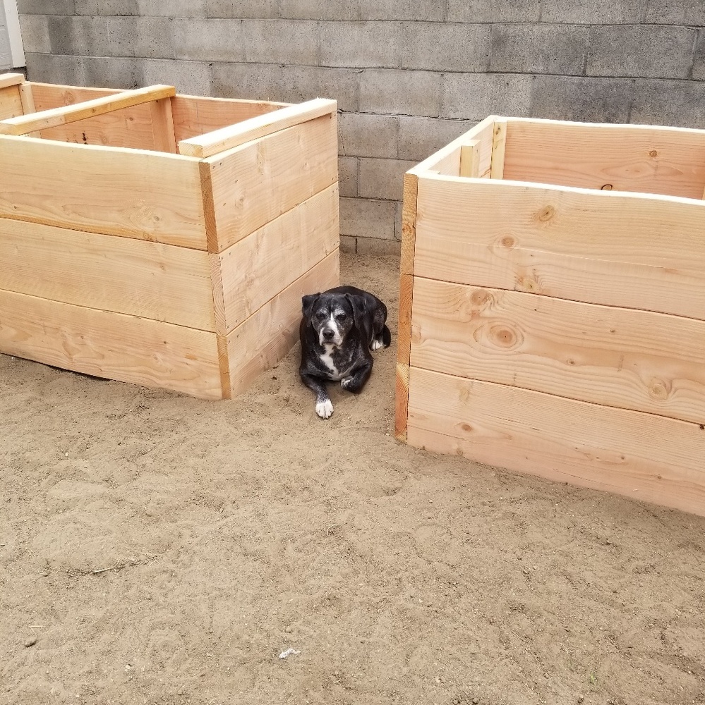 Meet your Posher, Ben